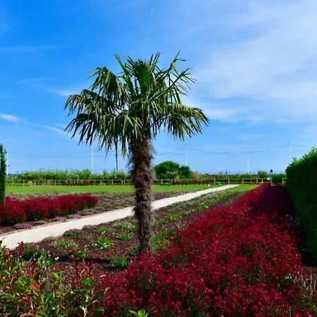 Апартаменты Domaine Juan Flore