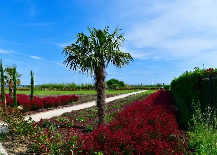 Domaine Juan Flore * Antibes